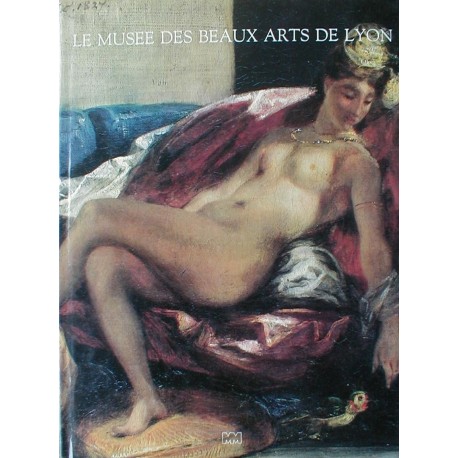 Le Musée des Beaux-Arts de Lyon Durey Albin Michel 9782226033185