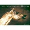 Chevaux - Yann Arthus - Bertrand 