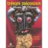 Trésors méconnus du musée de l'Homme. Dans le secret des objets et des mondes
