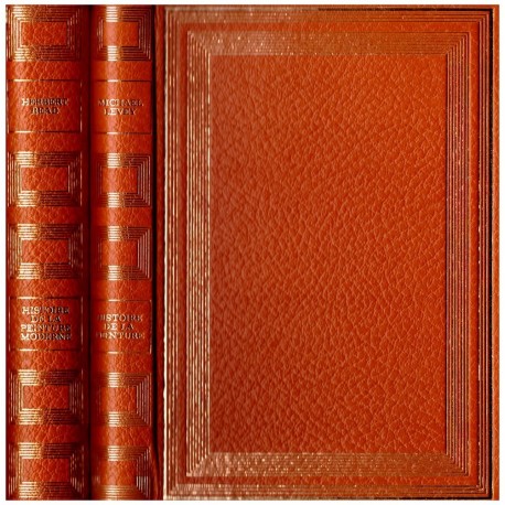 Histoire de la peinture 2/2V Flammarion / Somogy 0710377710173 Book